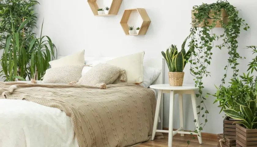 Gemütliches Schlafzimmer mit vielen grünen Pflanzen. Hängende Efeutriebe und eine Bogenhanfpflanze auf einem Beistelltisch schaffen eine entspannte Atmosphäre.