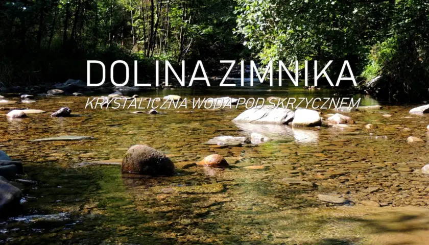 Krystalicznie czysta woda płynie przez kamieniste dno w Dolinie Zimnika. Słońce przebija się przez liście drzew, tworząc refleksy na powierzchni.