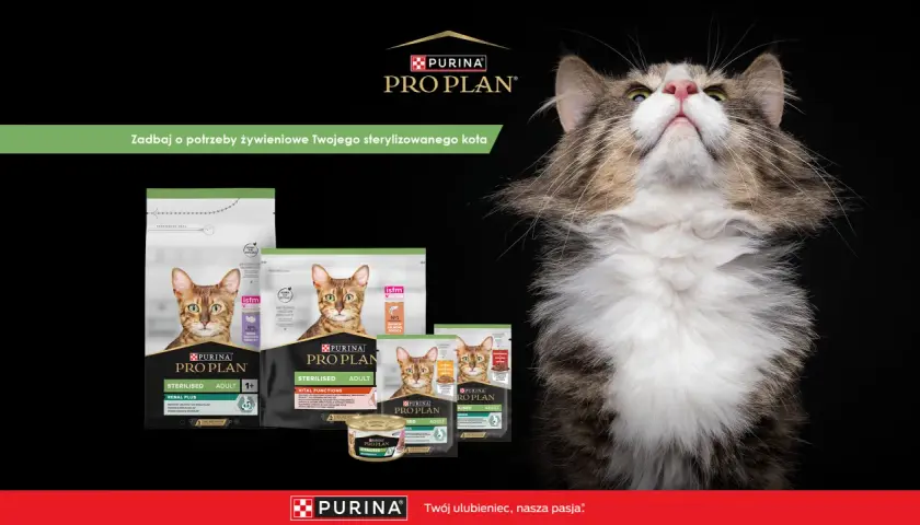 Czy Purina to dobra karma dla kota? Pro Plan oferuje specjalistyczne żywienie dla sterylizowanych kotów, dbając o ich zdrowie.