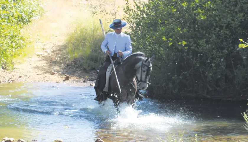 Un jinete con sombrero cordobés y traje claro cruza un río, su caballo salpica agua. Es parte del trabajo mayoral con ganado bravo.