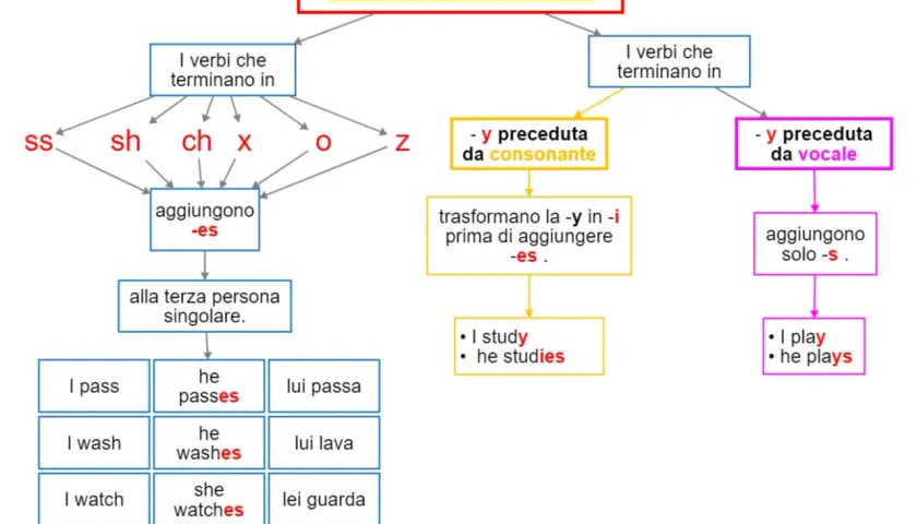 Schema sul present simple: verbi che finiscono in ss, sh, ch, x, o, z aggiungono -es. Verbi in -y preceduta da consonante cambiano -y in -i e aggiungono -es.