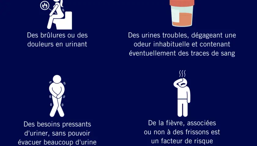 Symptômes d'infection urinaire : brûlures, urines troubles, odeur inhabituelle, besoin urgent d'uriner, fièvre. L'escherichia coli est une cause fréquente.