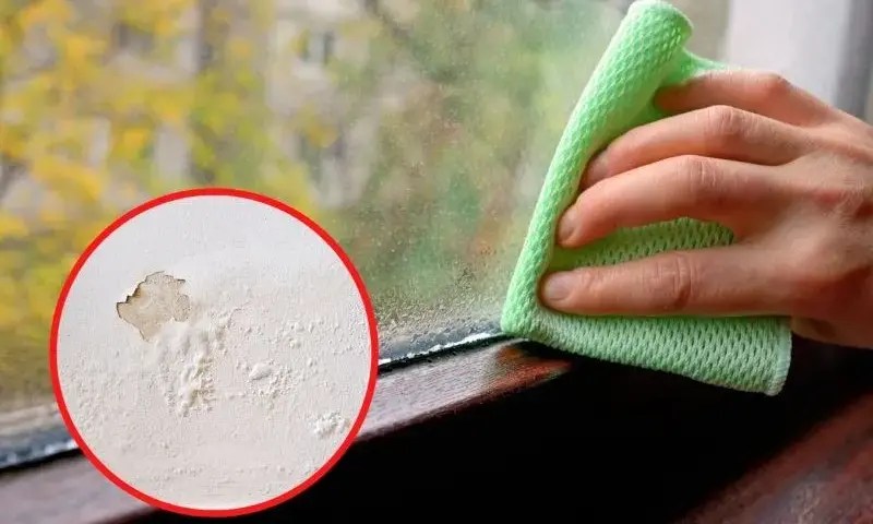 Skuteczne sposoby na wilgoć na oknach, które naprawdę działają