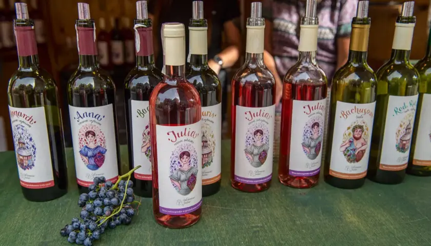 Gdzie kupić wino zielonogórskie? Odkryj najlepsze miejsca w regionie