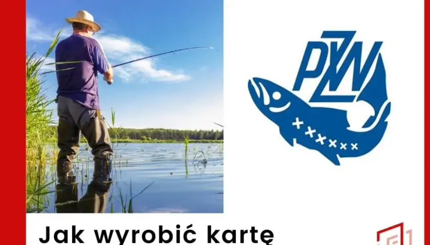 Jak wygląda karta wędkarska? Zobacz, co zawiera ten dokument