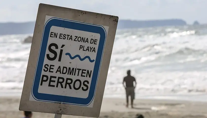 Cartel en la playa: "Sí, se admiten perros". Un hombre y su perro disfrutan de la playa para perros cerca.