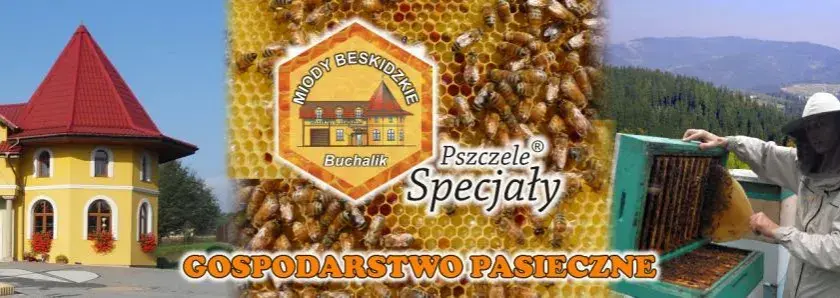 Ile kosztuje słoik miodu? Sprawdź ceny i różnice regionalne
