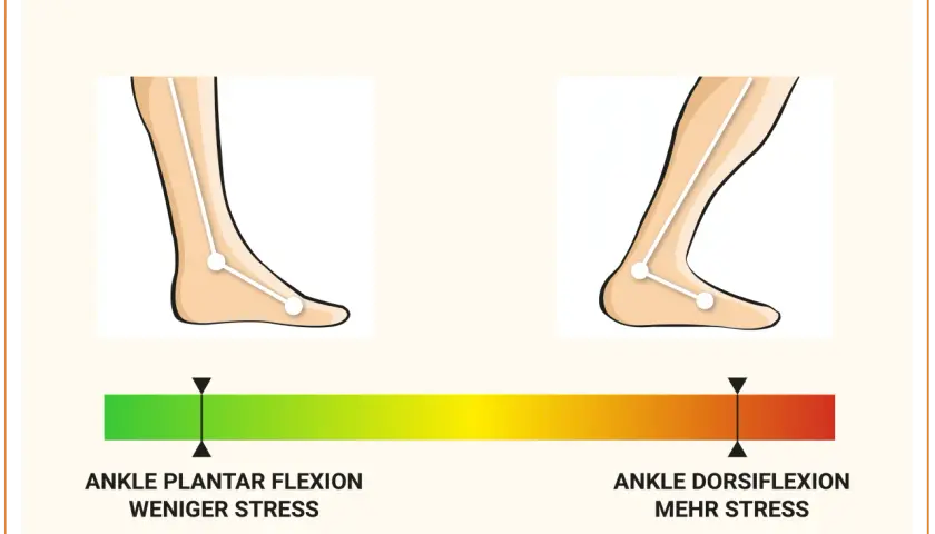 Bei Achillessehne Schmerzen wann zum Arzt? Die Grafik zeigt Fußstellungen: Plantarflexion (weniger Stress) und Dorsiflexion (mehr Stress).