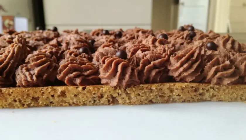 Gâteau rectangulaire avec une base de dacquoise noisette, garni d'une crème au chocolat aérienne et décoré de billes de chocolat.