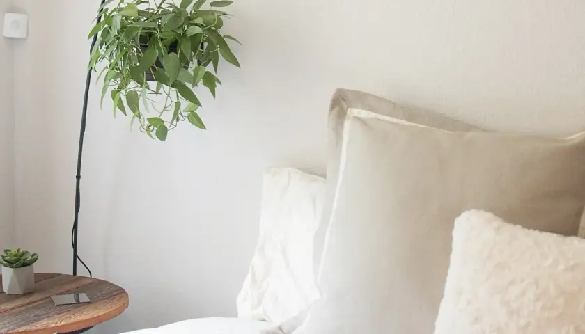 A cozy bedroom scene with a hanging plant, a bedside table, and plush pillows, including two shams, suggesting comfort and relaxation.