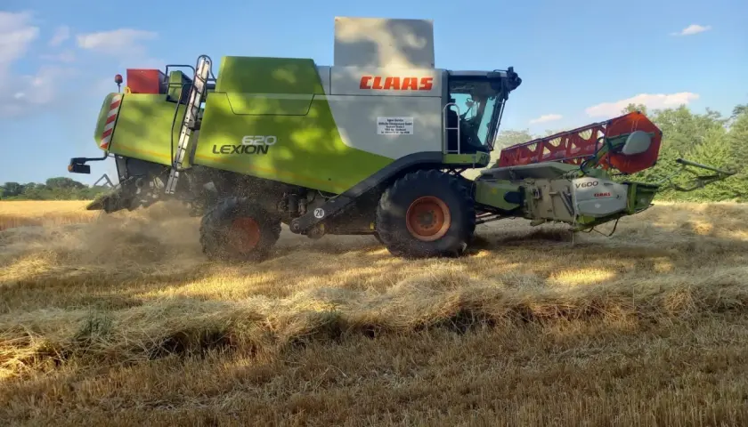 Mähdrescher erntet goldgelbes Feld. Die Frage "wann wird Wintergerste geerntet?" wird hier beantwortet: im Sommer, wenn das Korn reif ist.