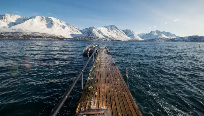 Najlepsze atrakcje w Tromsø, które musisz zobaczyć podczas wizyty
