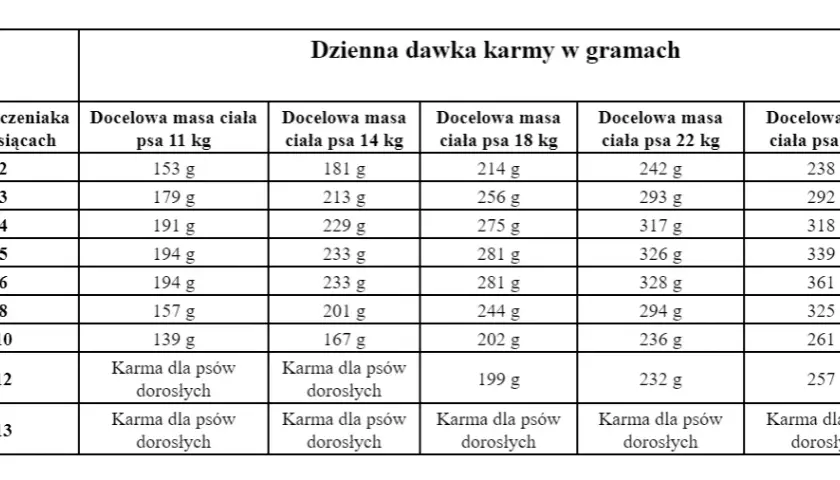 Ile karmy dla szczeniaka? Dawkowanie krok po kroku (wiek, waga)