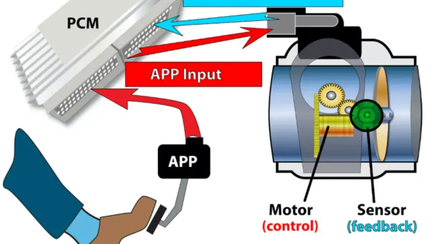 Diagrama de un sistema **ride by wire**: el pedal del acelerador (APP) envía una señal al PCM, que controla el motor del cuerpo de mariposa y recibe retroalimentación del sensor.