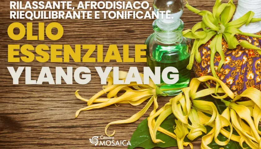 Olio essenziale Ylang Ylang: rilassante, afrodisiaco, riequilibrante e tonificante. Scopri le sue proprietà.