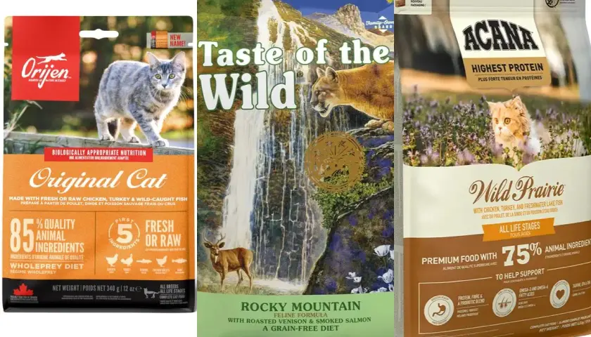 Los mejores piensos para gatos: Orijen, Taste of the Wild y Acana, con ingredientes de alta calidad para una nutrición óptima.