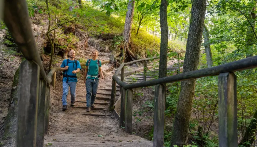 Ein Paar wandert auf einem Holzsteg durch den sonnendurchfluteten Teutoburger Wald.