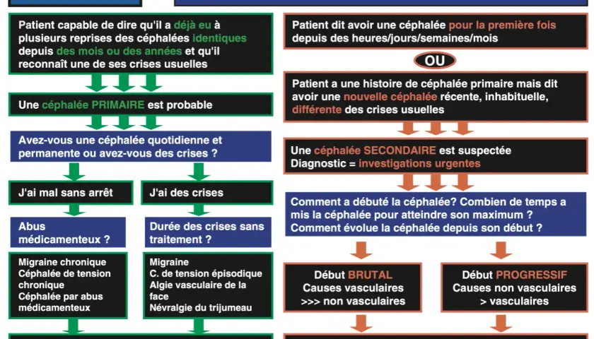Algorithme de diagnostic des maux de tête, distinguant céphalées primaires et secondaires pour une prise en charge adaptée.