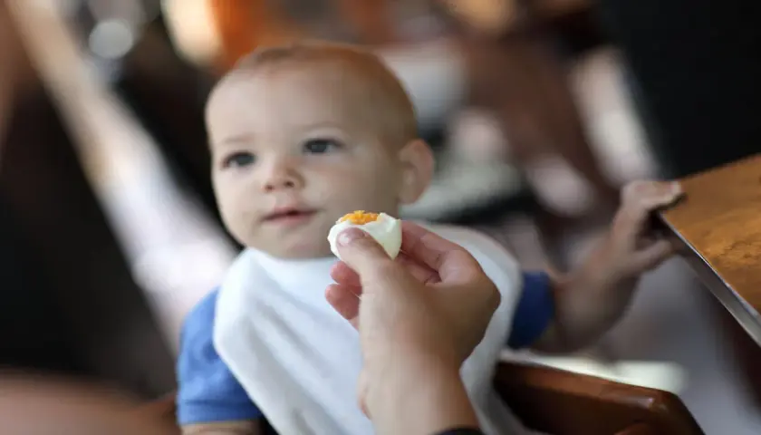 Un bébé d'un certain âge découvre le goût d'un œuf.