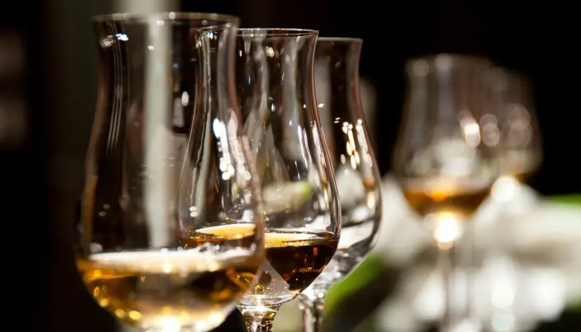 Verres de dégustation remplis de différents types de whisky, prêts pour une exploration des saveurs.