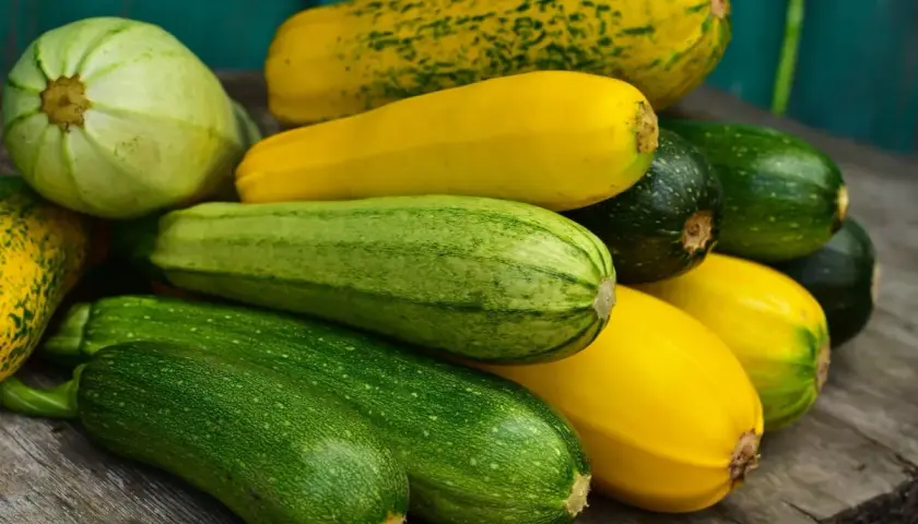 Un tas de courgettes vertes et jaunes, dont une courgette blanche pâle, reposent sur des planches de bois.