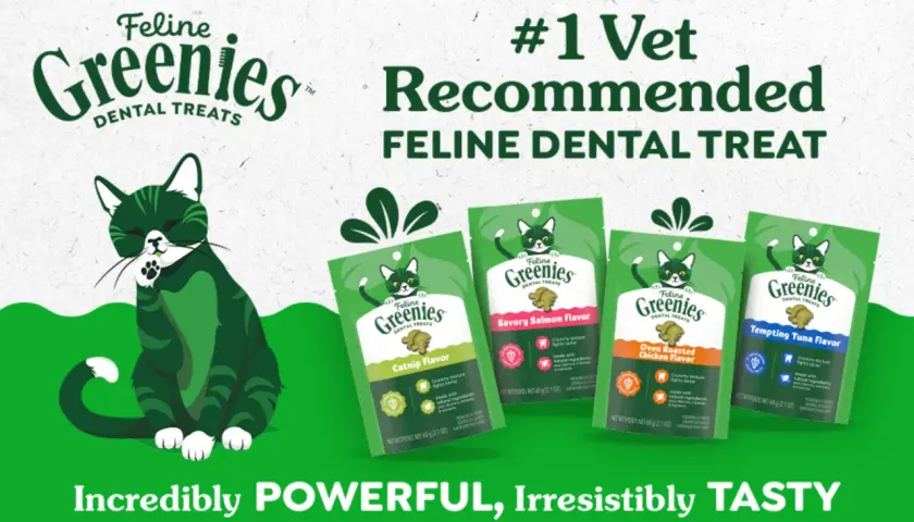 Greenies are good for cats! A green cat sits near bags of Feline Greenies dental treats in various flavors, advertised as #1 vet recommended.