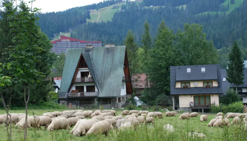 Zakopane: Domek na wierchu z widokiem na Tatry? Oto jak wybrać!