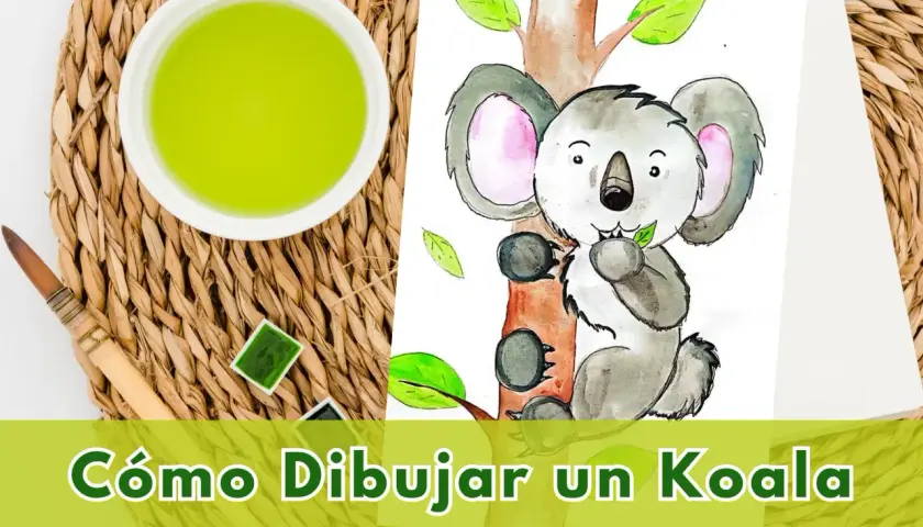 Tiernos dibujos de koalas en acuarela, listos para aprender a dibujarlos.