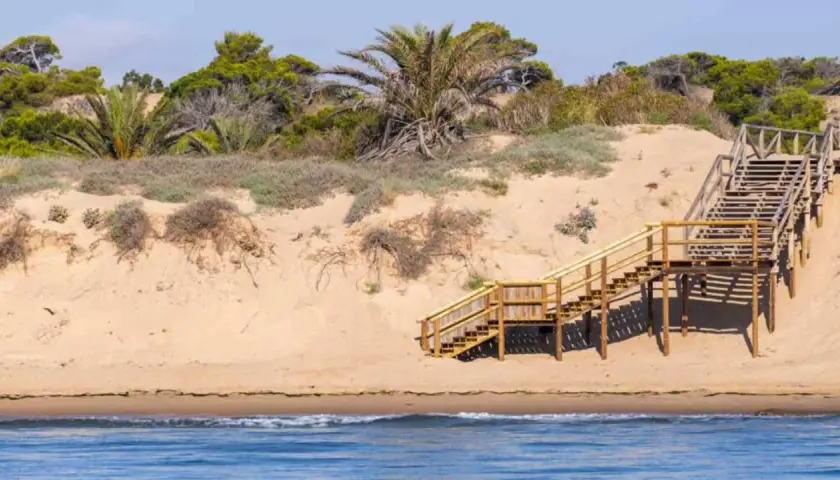 Escaleras de madera suben por las dunas de arena hacia la vegetación en la playa Els Tossals.
