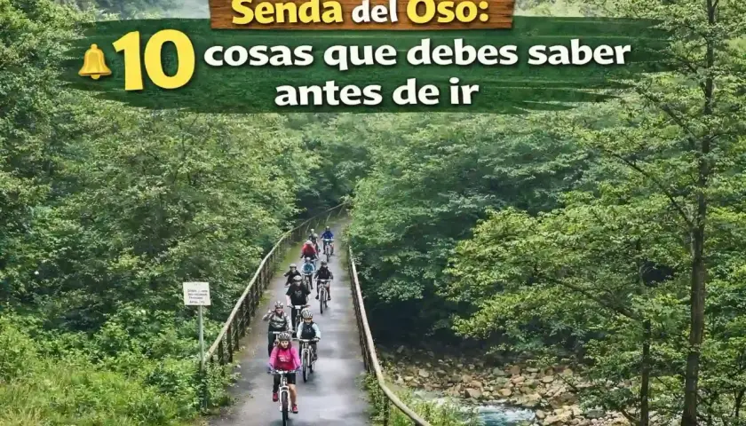 Grupo de ciclistas pedaleando en la Senda del Oso, un hermoso camino rodeado de exuberante vegetación y un río.