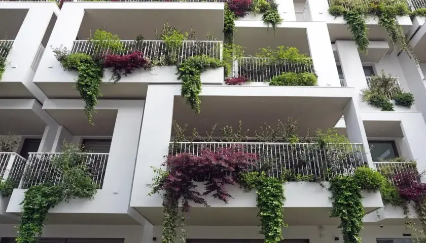 Wieloletnie pnącza na balkon: wybierz gatunek i stwórz zieloną oazę