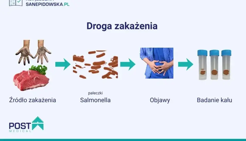 Droga zakażenia Salmonellą: od surowego mięsa, przez pałeczki, objawy bólu brzucha, po badanie kału.