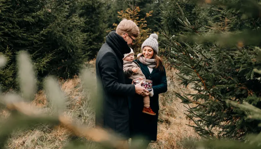 Rodzina podczas sesji świątecznej w plenerze, wśród choinek. Tata trzyma dziecko, mama uśmiecha się, trzymając ozdobne pudełko.
