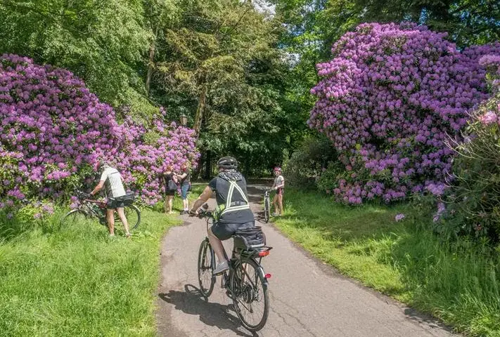 Najlepsze trasy rowerowe w Pszczynie - odkryj piękno regionu
