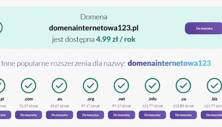 Koszty utrzymania strony: Oszacuj roczne wydatki i nie przepłacaj!