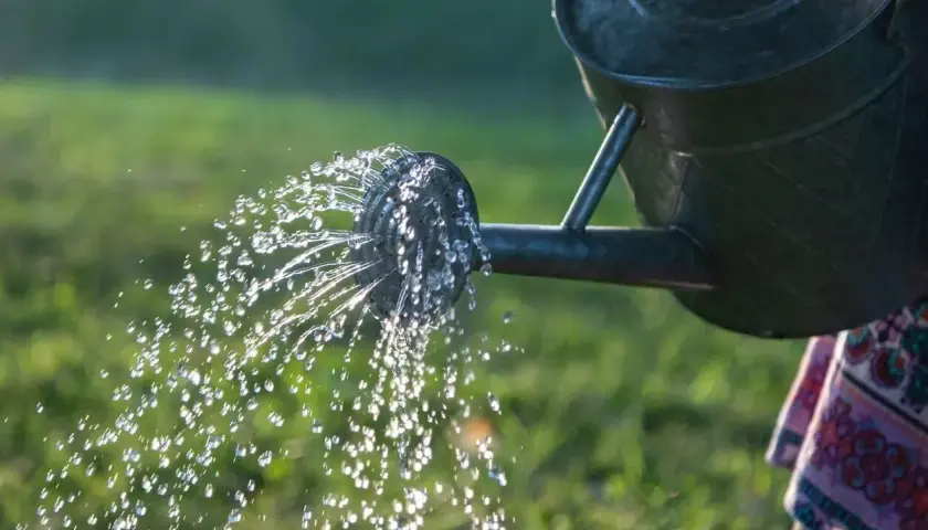 Krople wody z konewki tworzą tęczowy deszcz, idealny do podlewania kwiatów.
