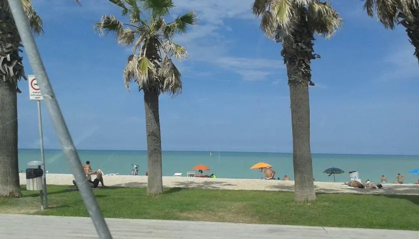 Palme e mare azzurro a Porto Sant'Elpidio. Cosa vedere? La spiaggia, il sole e il relax.