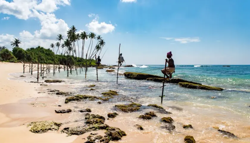 Rybołówka na palach w Mirissa, Sri Lanka. Trzech rybaków łowi ryby siedząc na drewnianych słupach w płytkiej wodzie.