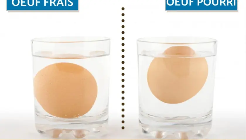 Un œuf frais coule au fond d'un verre d'eau, tandis qu'un œuf pourri flotte. Voici comment savoir si un œuf est bon.