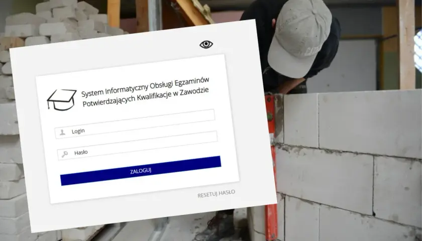 Wyniki egzaminów zawodowych: Gdzie i jak sprawdzić online?