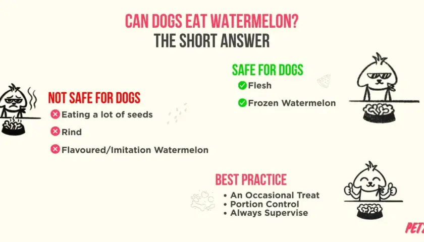 Can dogs have watermelon? Yes, the flesh and frozen watermelon are safe. Avoid seeds, rind, and flavored versions.