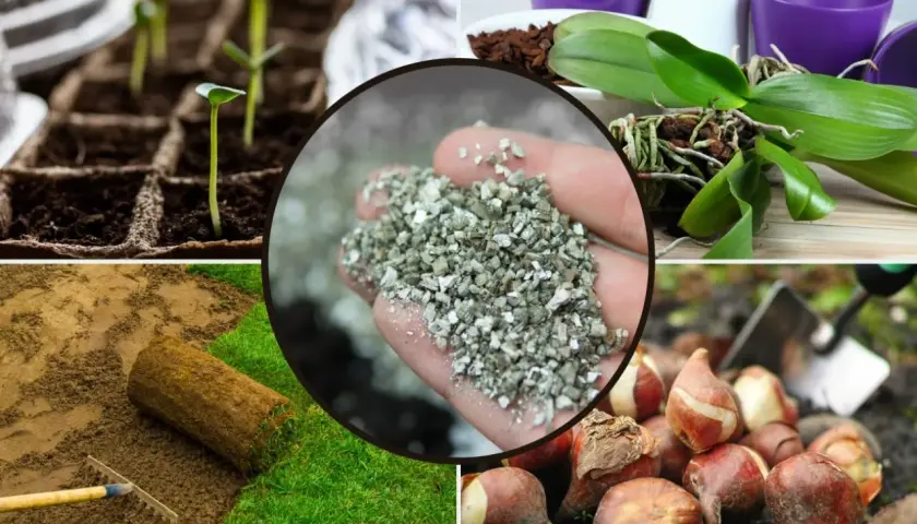 Dłoń trzyma wermikulit, który poprawia strukturę gleby. Widać też sadzonki, storczyka, cebulki tulipanów i przygotowanie trawnika.