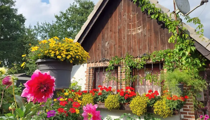 Bunte Blumenpracht vor einem Holzhäuschen – tolle Schrebergarten Ideen für ein blühendes Paradies.
