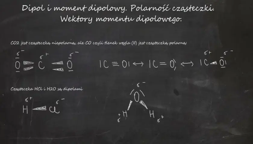 Co to jest wektor w biologii? Klucz do inżynierii genetycznej