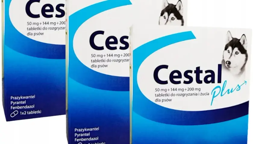 Cestal dla psa - Cestal Plus, Porady i Cena
