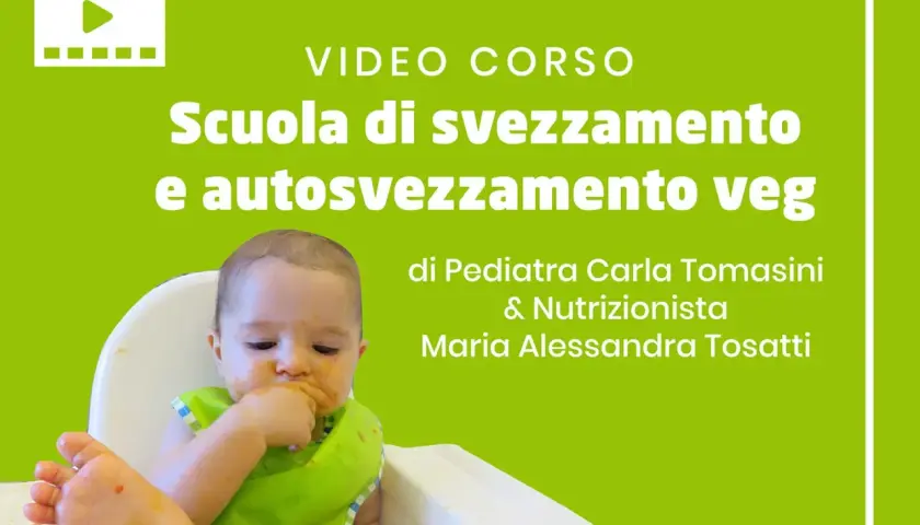 Bambino in seggiolone, con bavaglino verde, che mangia con le mani. Titolo: "Scuola di svezzamento e autosvezzamento veg".