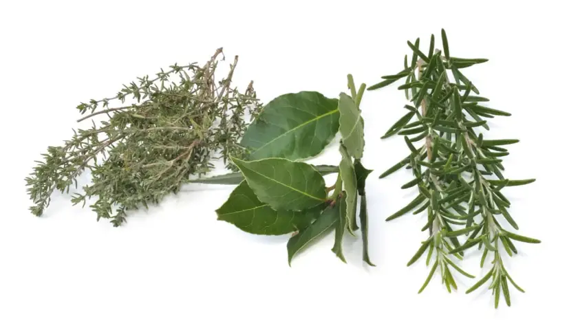 Tomillo, laurel y romero, ingredientes esenciales para un auténtico condimento italiano.
