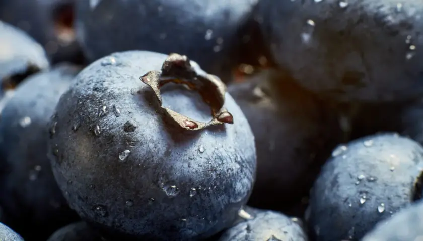 Krople wody na jagodach w zbliżeniu. Alfa makro uchwyciło każdy detal, tworząc soczysty obraz.