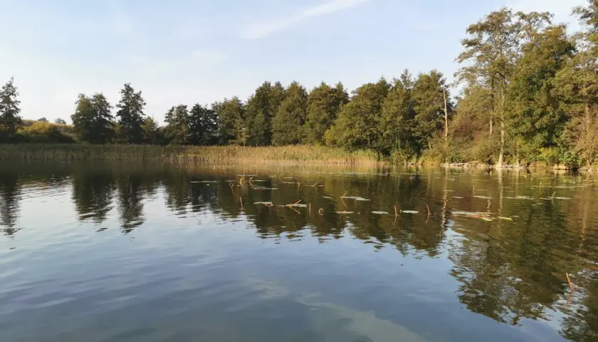 Łowisko Łopienno: Idealne miejsce na wędkowanie i relaks w naturze