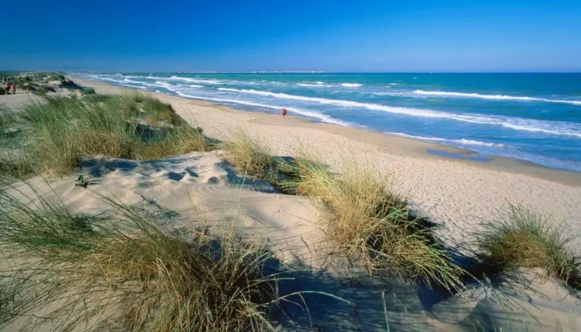 Dunas de arena y hierba en la playa los viveros, con el mar azul y olas rompiendo.